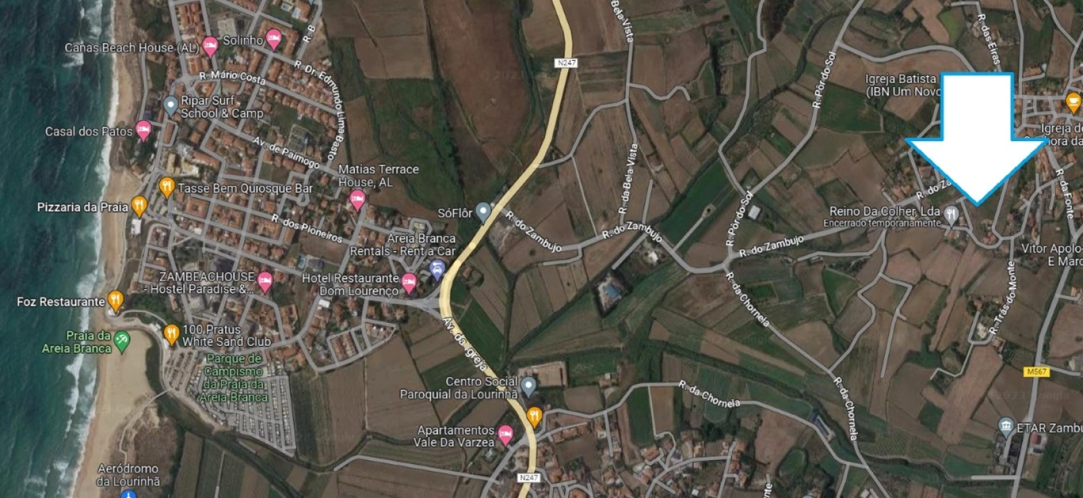 Terreno para Venda em Lourinhã e Atalaia Foto 3