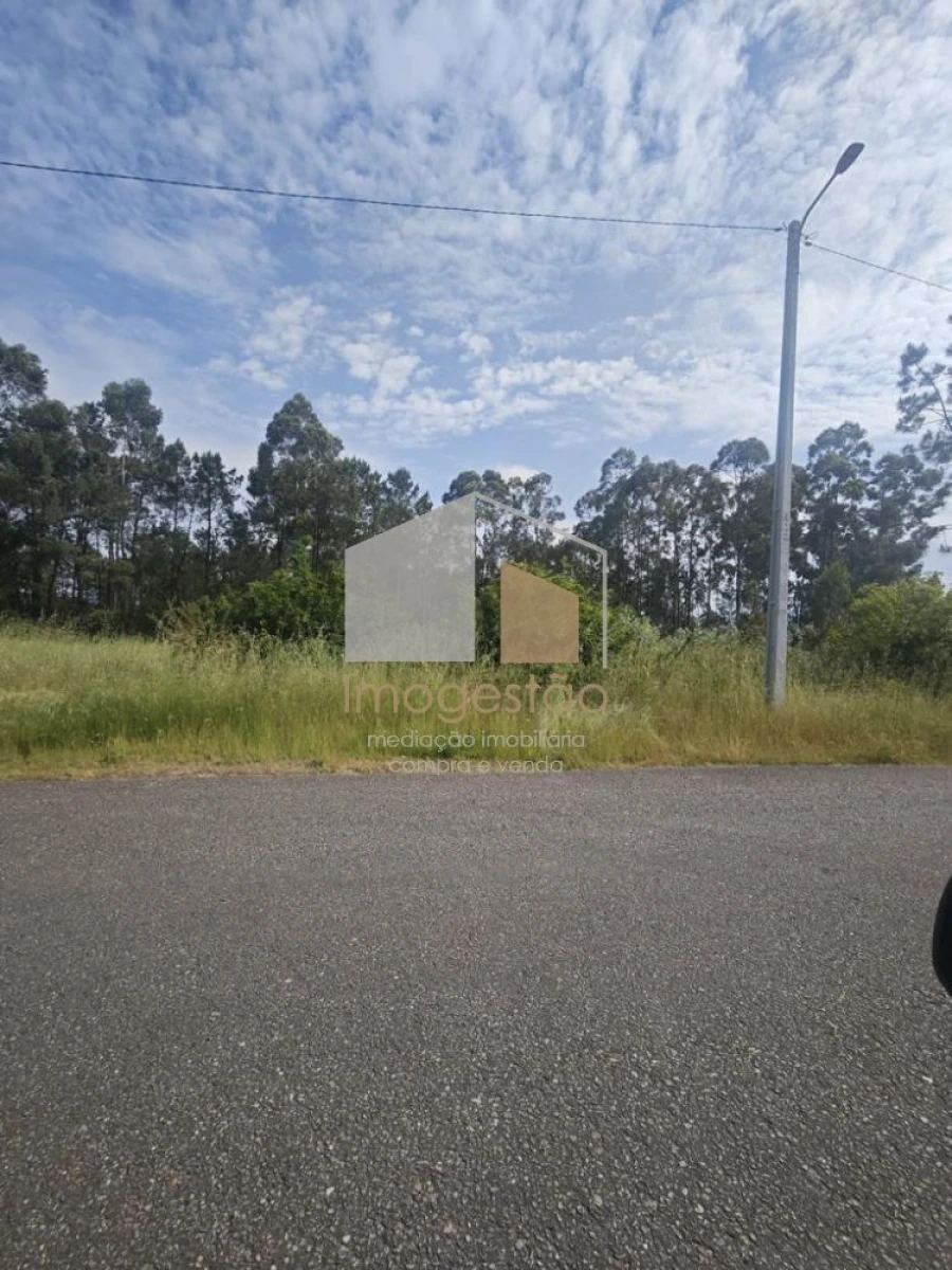 Terreno para Venda em São Pedro da Torre Foto 6