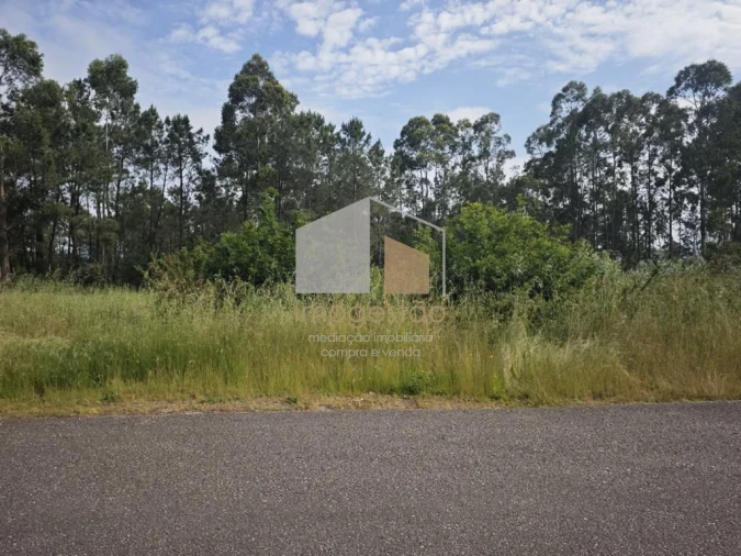 Terreno para Venda em São Pedro da Torre Foto 2