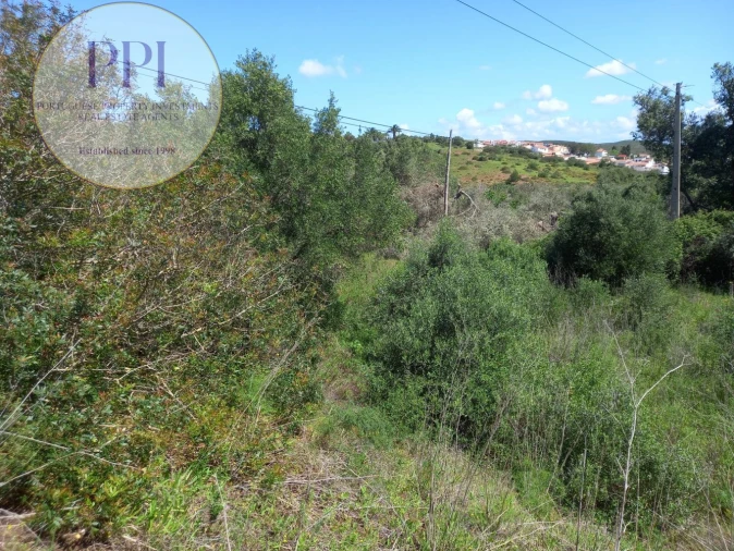 Terreno para Venda em Budens Foto 14