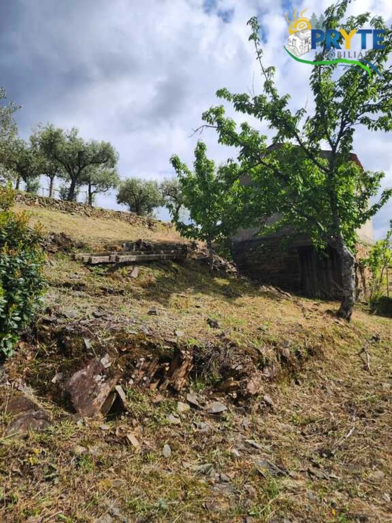 Terreno para Venda em Troviscal Foto 10