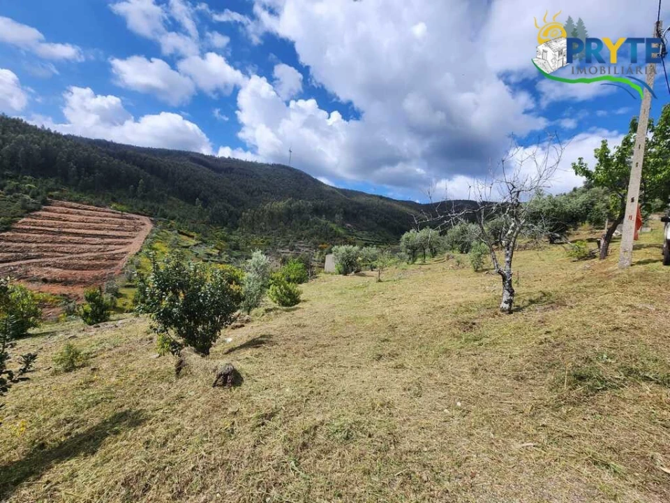 Terreno para Venda em Troviscal Foto 16