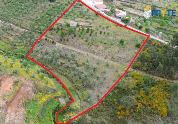 Terreno para Venda em Troviscal