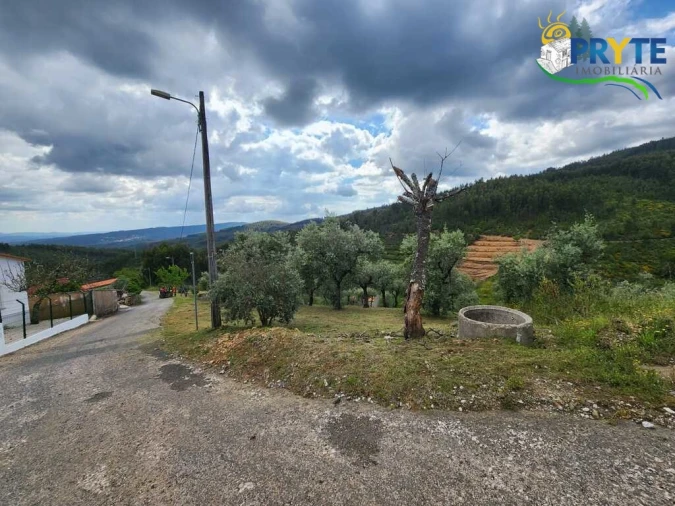 Terreno para Venda em Troviscal Foto 14