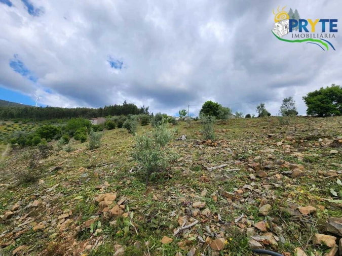 Terreno para Venda em Troviscal Foto 15