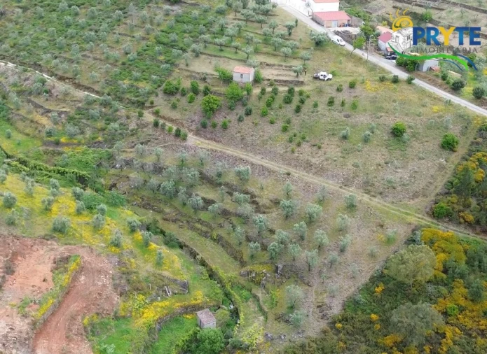 Terreno para Venda em Troviscal Foto 19