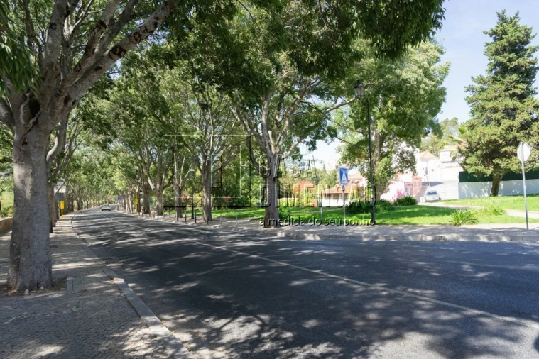 Terreno para Venda em Queluz e Belas Foto 14