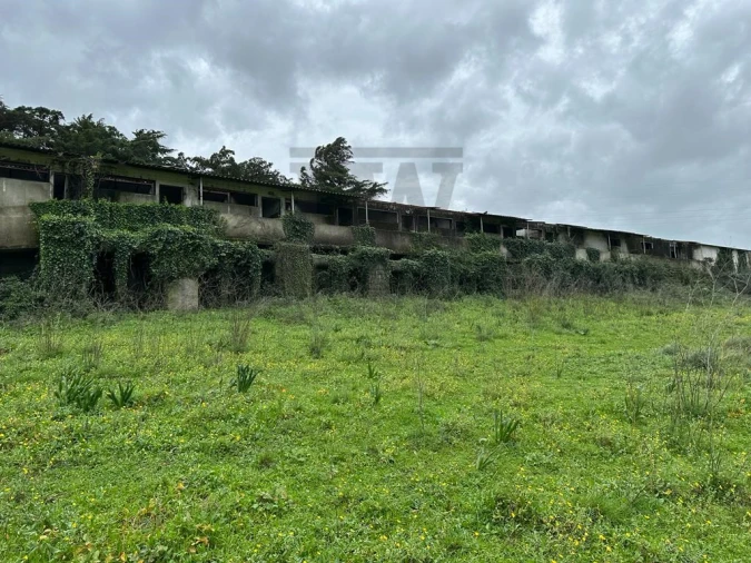 Terreno Comércio / Armazém para Venda em Venda do Pinheiro e Santo Estêvão das Galés Foto 12