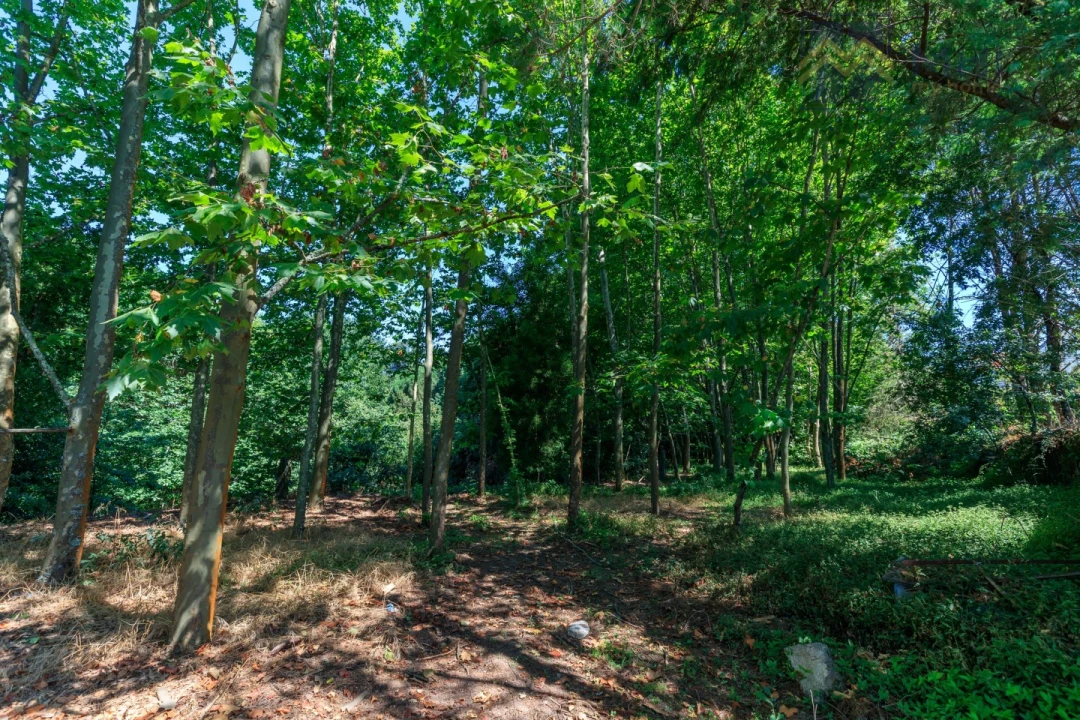 Moradia T6 para Venda em Abragão Foto 8