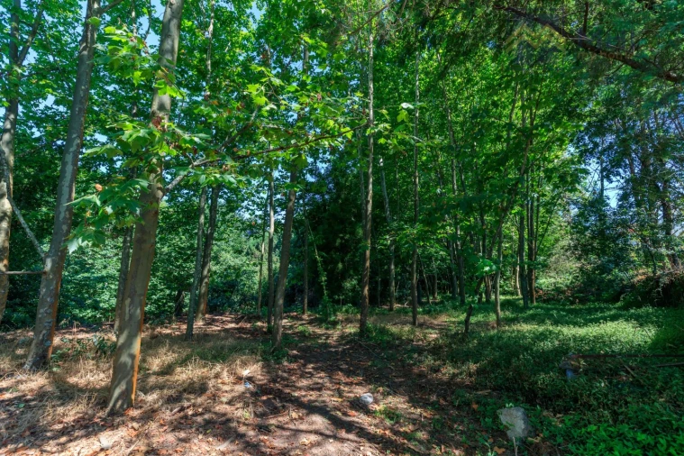 Moradia T6 para Venda em Abragão Foto 8