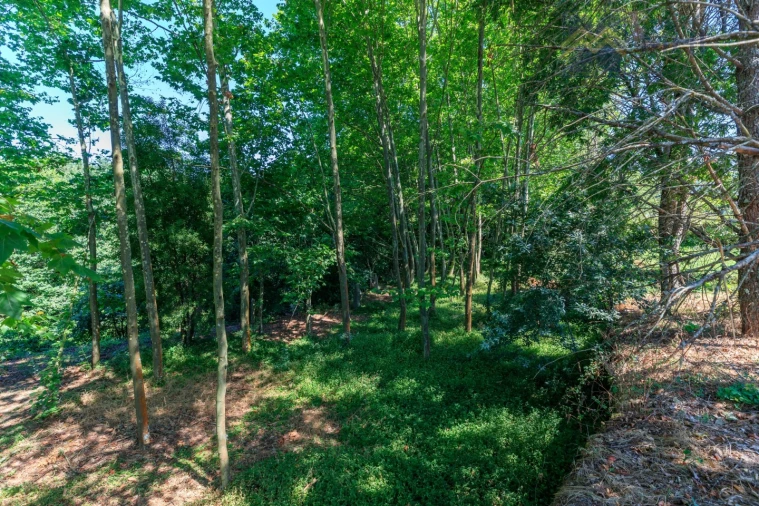 Moradia T6 para Venda em Abragão Foto 9