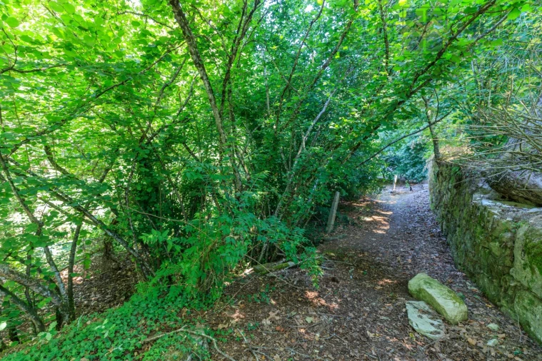 Moradia T6 para Venda em Abragão Foto 11