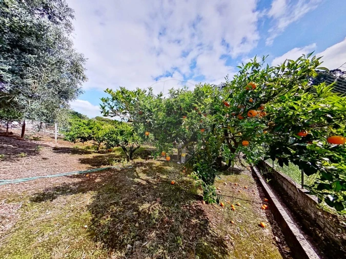 Moradia T3 para Venda em Carvoeira e Carmões Foto 38