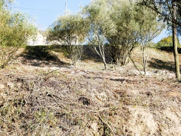 Terreno para Venda em Almoster