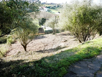 Terreno para Venda em Almoster