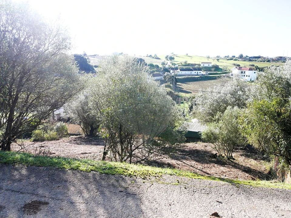 Terreno para Venda em Almoster Foto 12