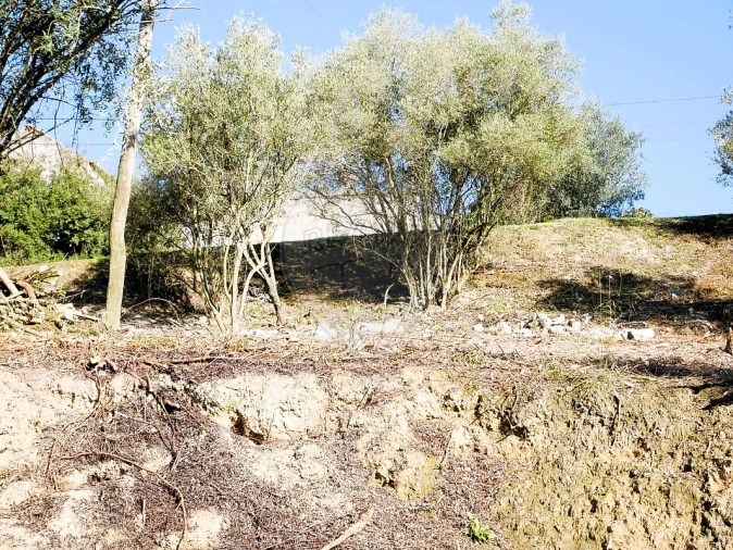 Terreno para Venda em Almoster Foto 10