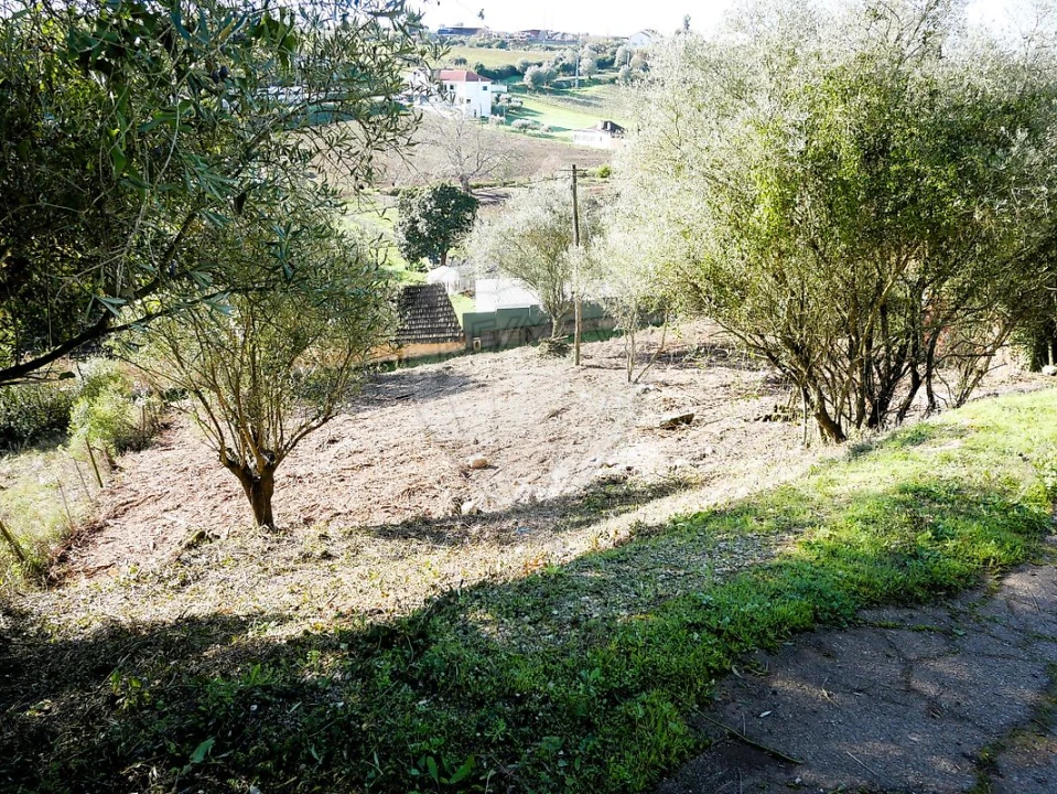 Terreno para Venda em Almoster Foto 4