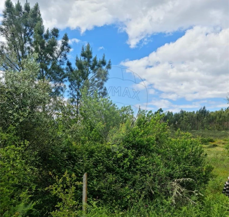 Terreno para Venda em Sardoal Foto 1