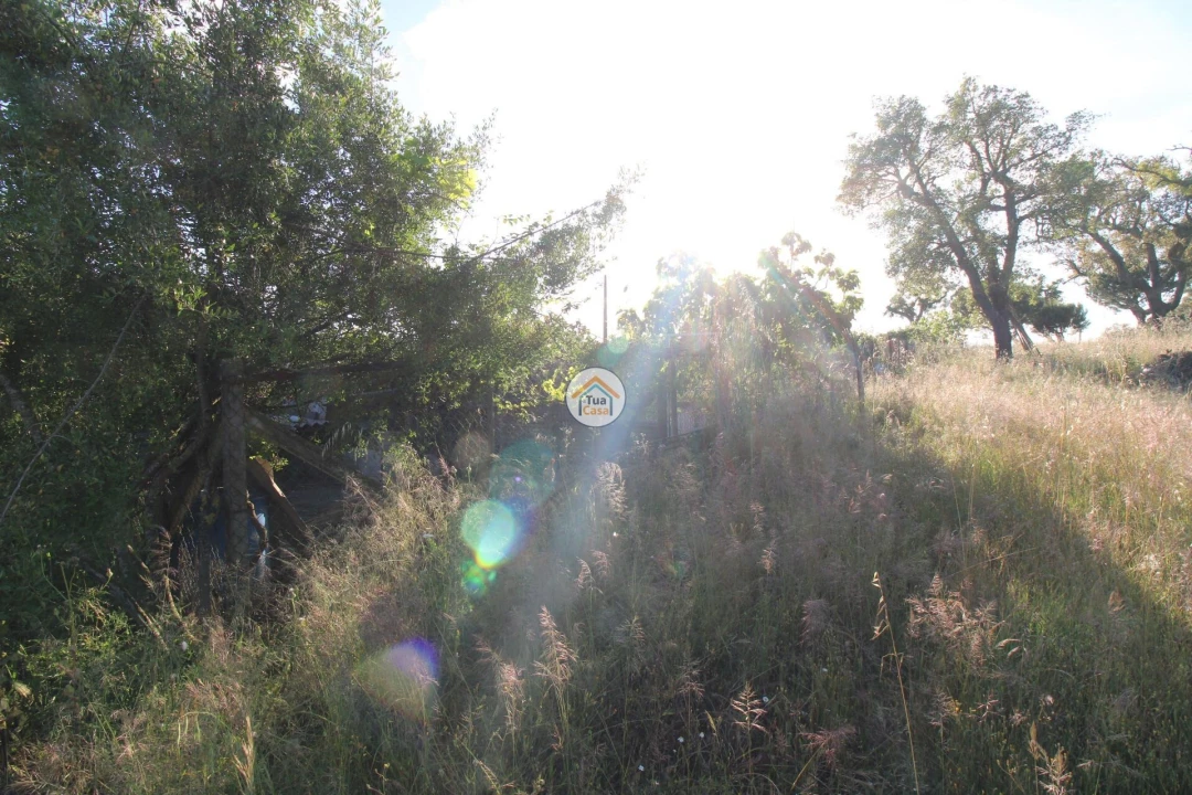 Terreno para Venda em Cortiçadas de Lavre e Lavre Foto 11