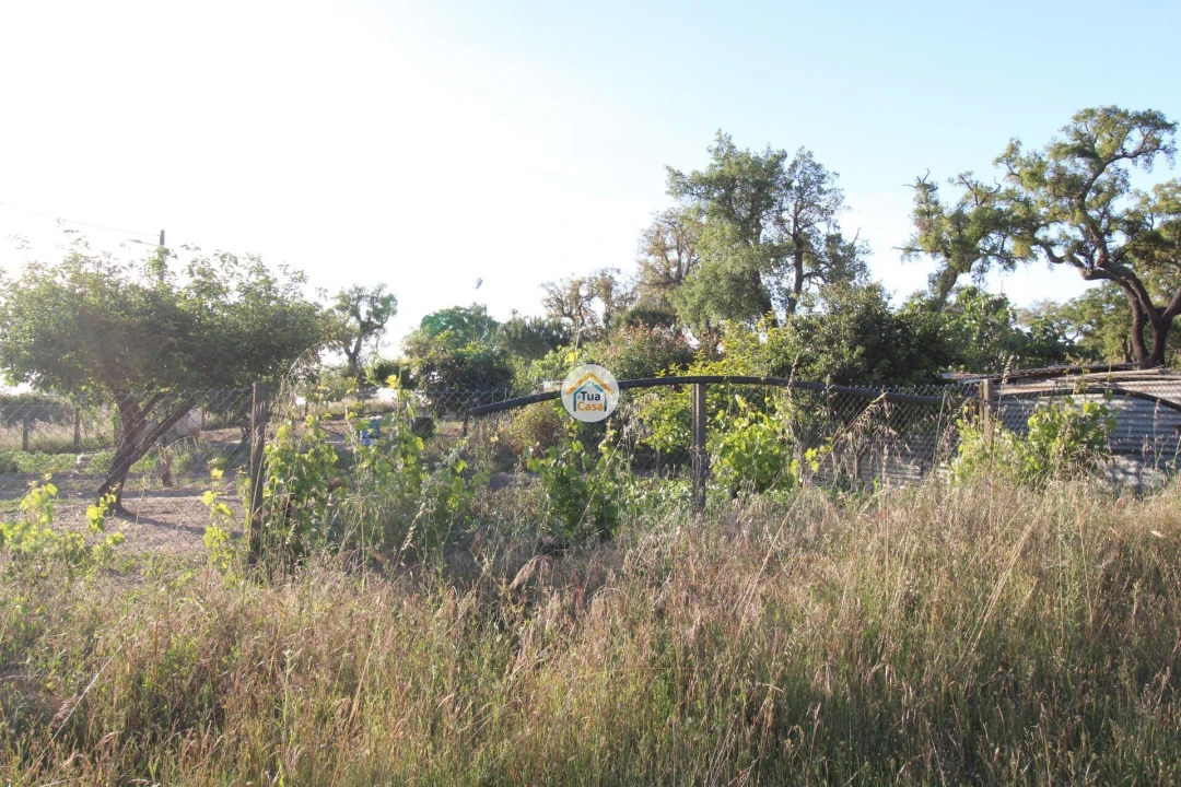Terreno para Venda em Cortiçadas de Lavre e Lavre Foto 8