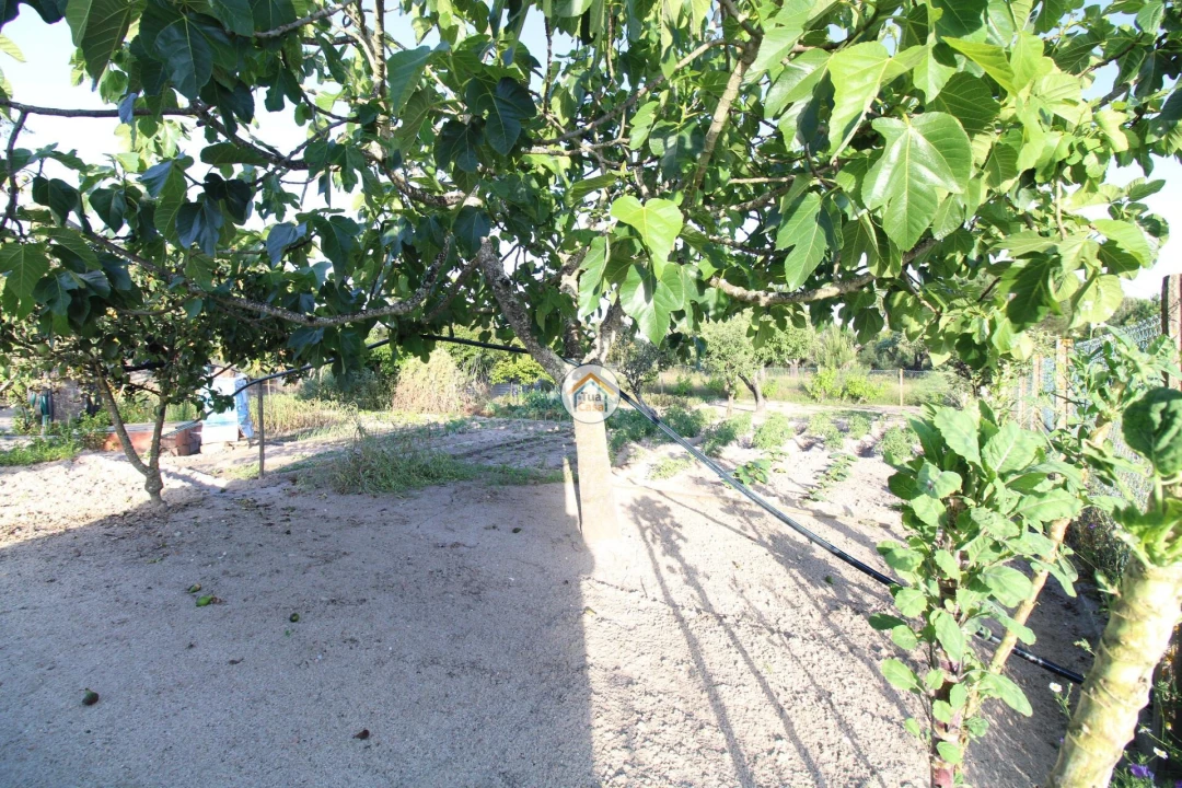 Terreno para Venda em Cortiçadas de Lavre e Lavre Foto 13