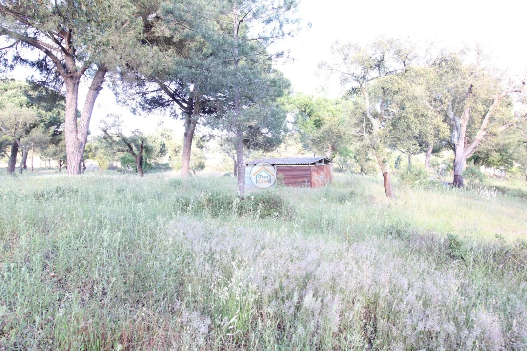 Terreno para Venda em Cortiçadas de Lavre e Lavre Foto 3