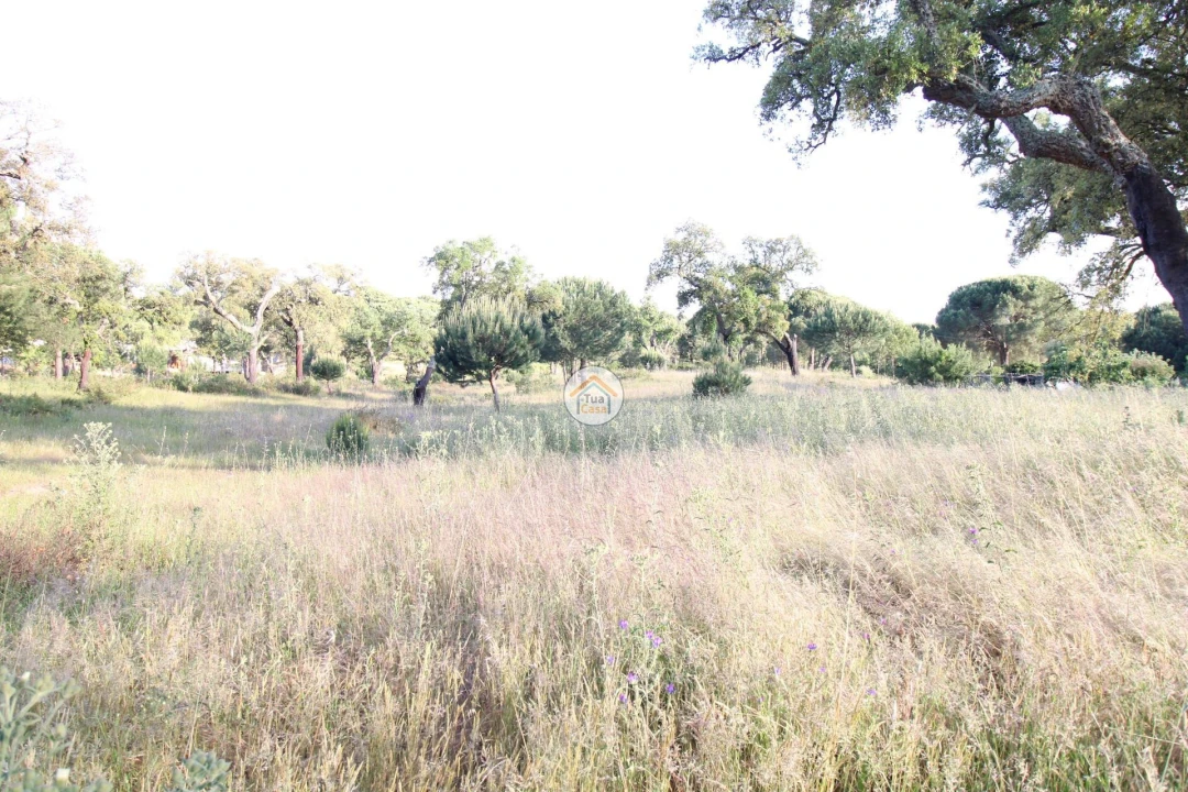 Terreno para Venda em Cortiçadas de Lavre e Lavre Foto 2