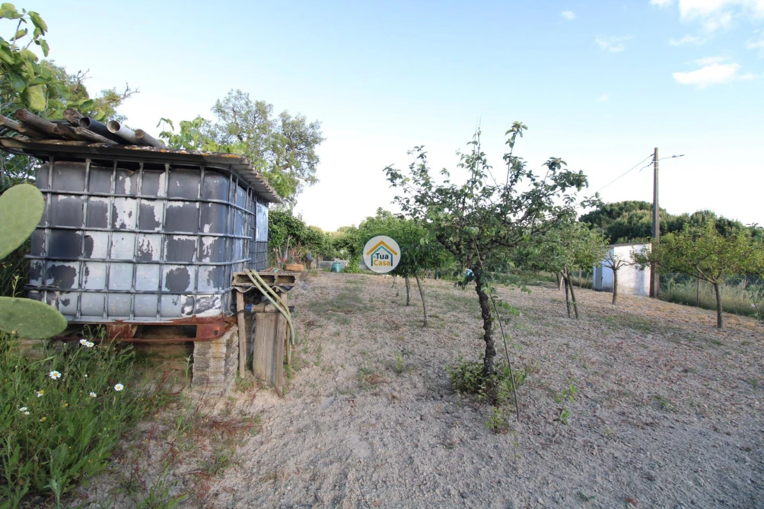 Terreno para Venda em Cortiçadas de Lavre e Lavre Foto 17