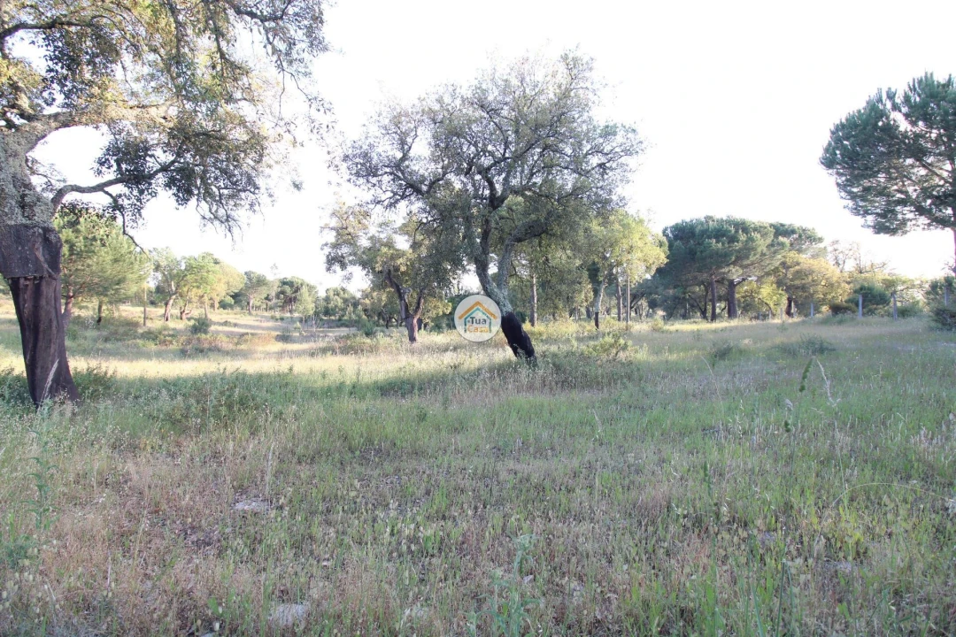 Terreno para Venda em Cortiçadas de Lavre e Lavre Foto 18