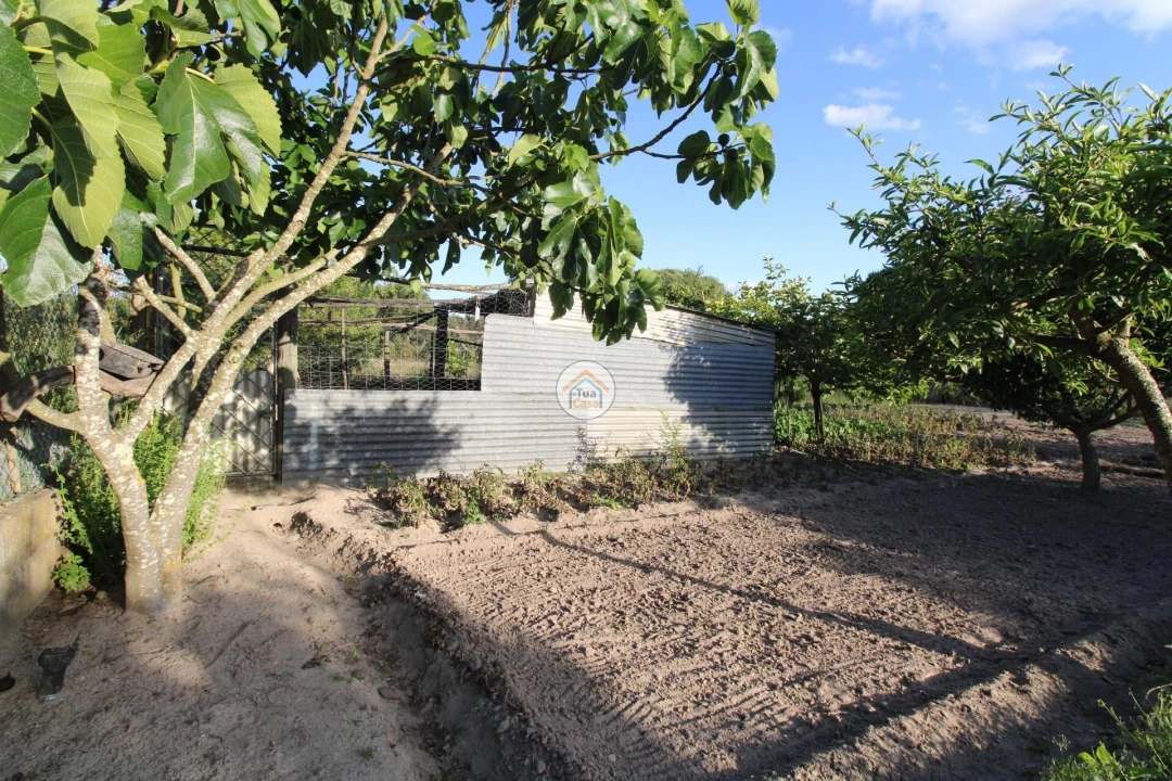 Terreno para Venda em Cortiçadas de Lavre e Lavre Foto 15