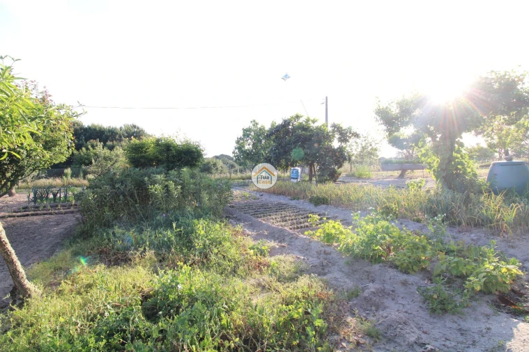 Terreno para Venda em Cortiçadas de Lavre e Lavre Foto 16