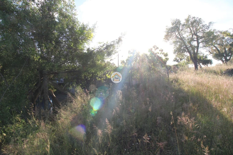 Terreno para Venda em Cortiçadas de Lavre e Lavre Foto 11