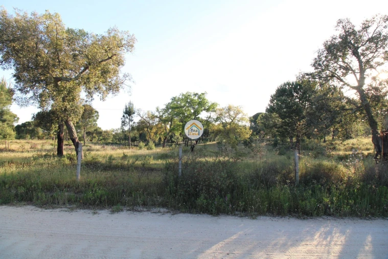 Terreno para Venda em Cortiçadas de Lavre e Lavre Foto 22