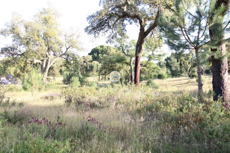 Terreno para Venda em Cortiçadas de Lavre e Lavre Foto 6