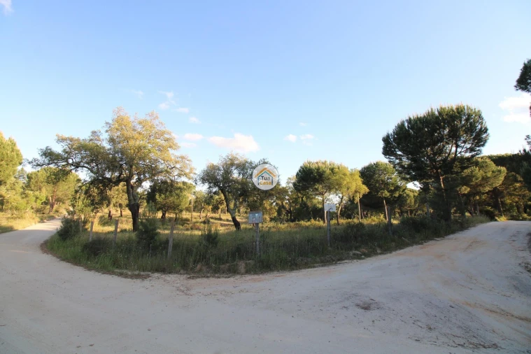 Terreno para Venda em Cortiçadas de Lavre e Lavre Foto 23