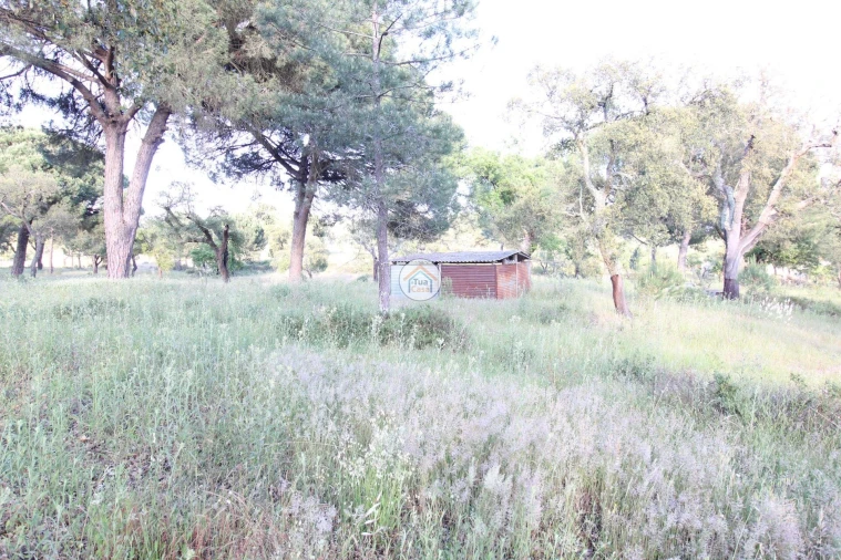 Terreno para Venda em Cortiçadas de Lavre e Lavre Foto 3