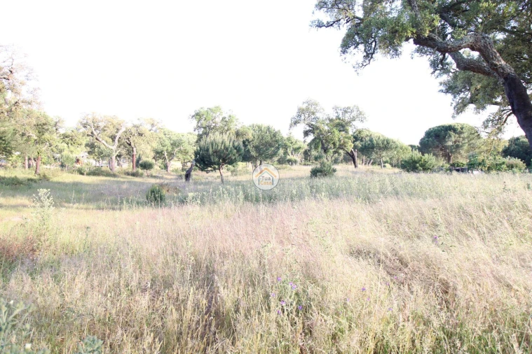 Terreno para Venda em Cortiçadas de Lavre e Lavre Foto 2