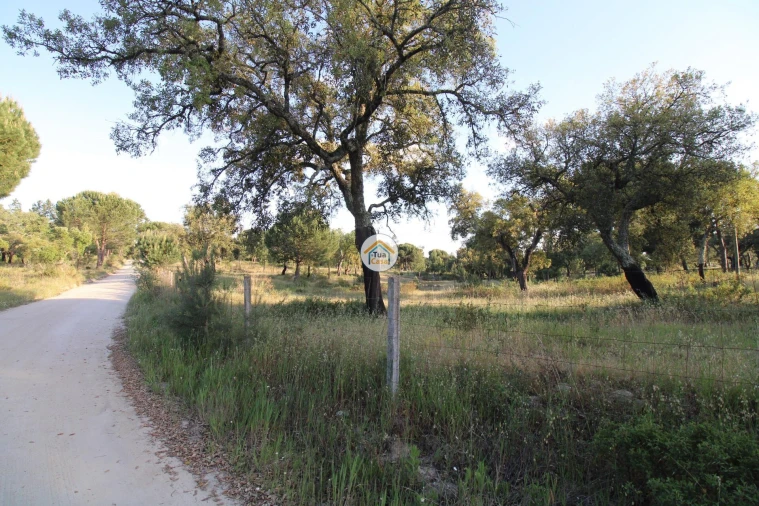 Terreno para Venda em Cortiçadas de Lavre e Lavre Foto 19