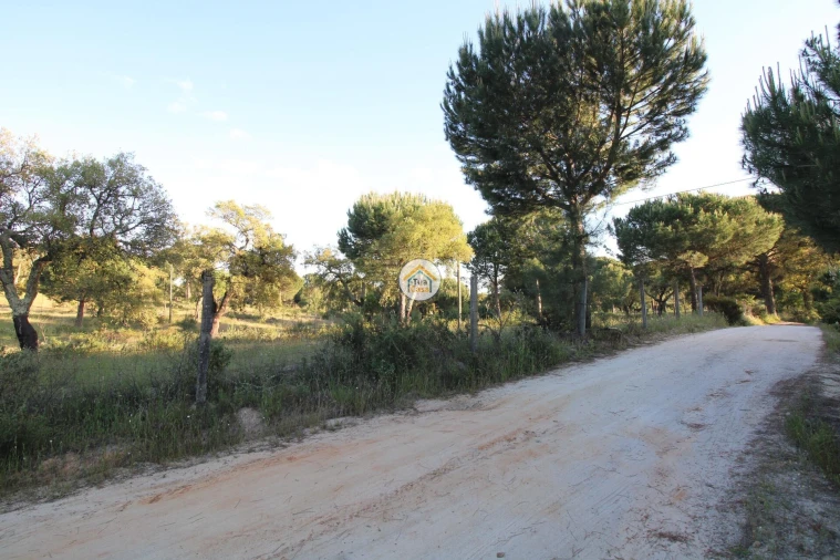 Terreno para Venda em Cortiçadas de Lavre e Lavre Foto 24