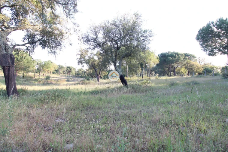 Terreno para Venda em Cortiçadas de Lavre e Lavre Foto 18