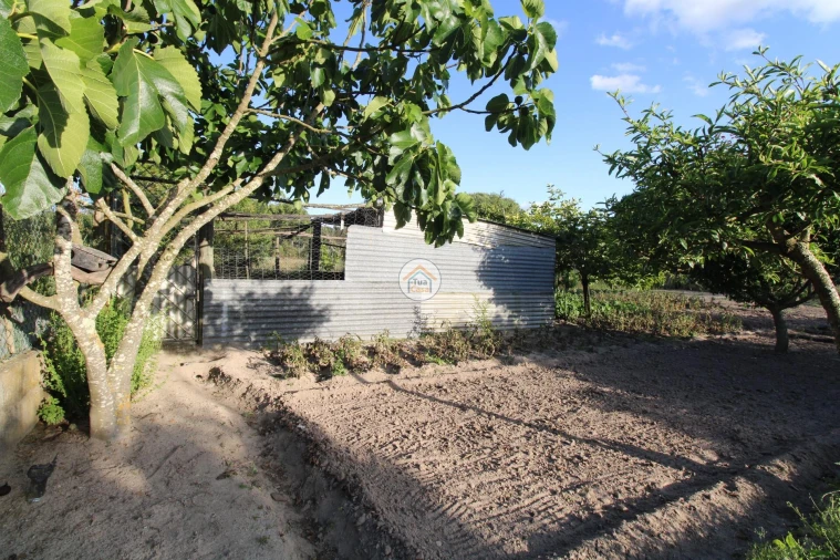 Terreno para Venda em Cortiçadas de Lavre e Lavre Foto 15