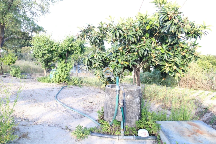 Terreno para Venda em Cortiçadas de Lavre e Lavre Foto 12