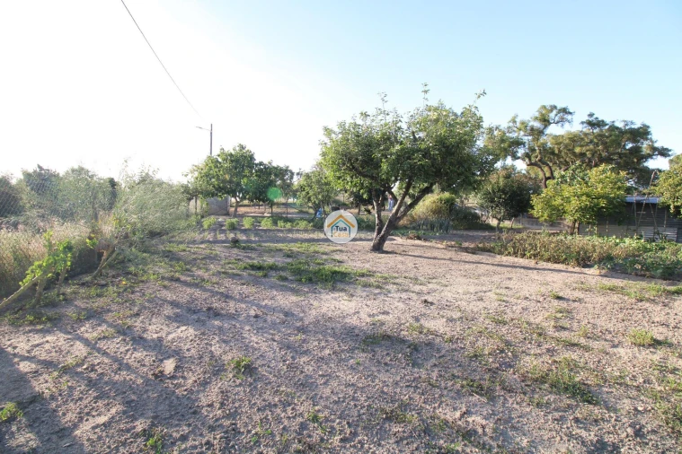 Terreno para Venda em Cortiçadas de Lavre e Lavre Foto 14