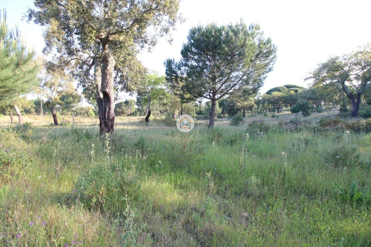 Terreno para Venda em Cortiçadas de Lavre e Lavre Foto 20