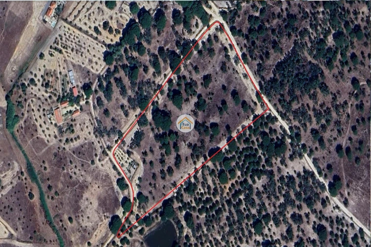 Terreno para Venda em Cortiçadas de Lavre e Lavre