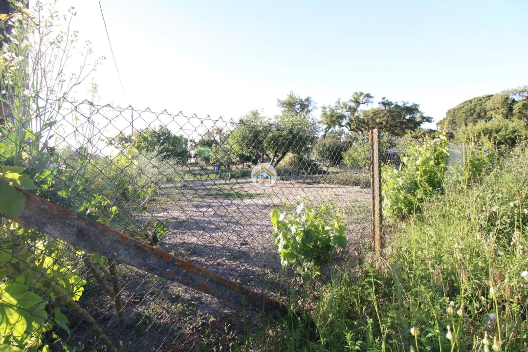 Terreno para Venda em Cortiçadas de Lavre e Lavre Foto 9