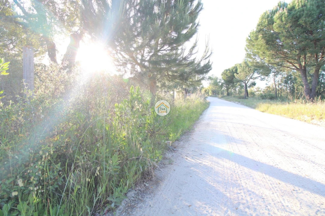 Terreno para Venda em Cortiçadas de Lavre e Lavre Foto 21