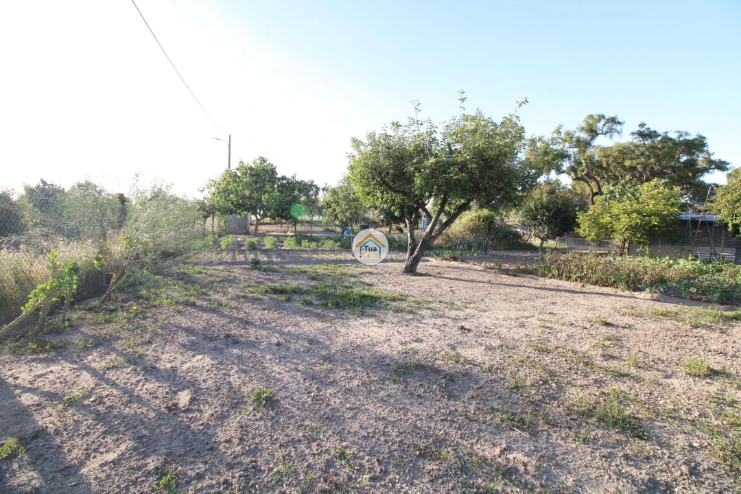 Terreno para Venda em Cortiçadas de Lavre e Lavre Foto 14