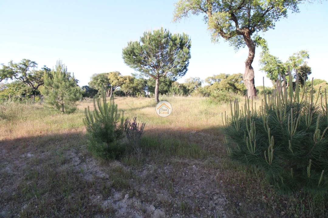 Terreno para Venda em Cortiçadas de Lavre e Lavre Foto 10